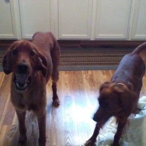 Meet your Posher, Joann